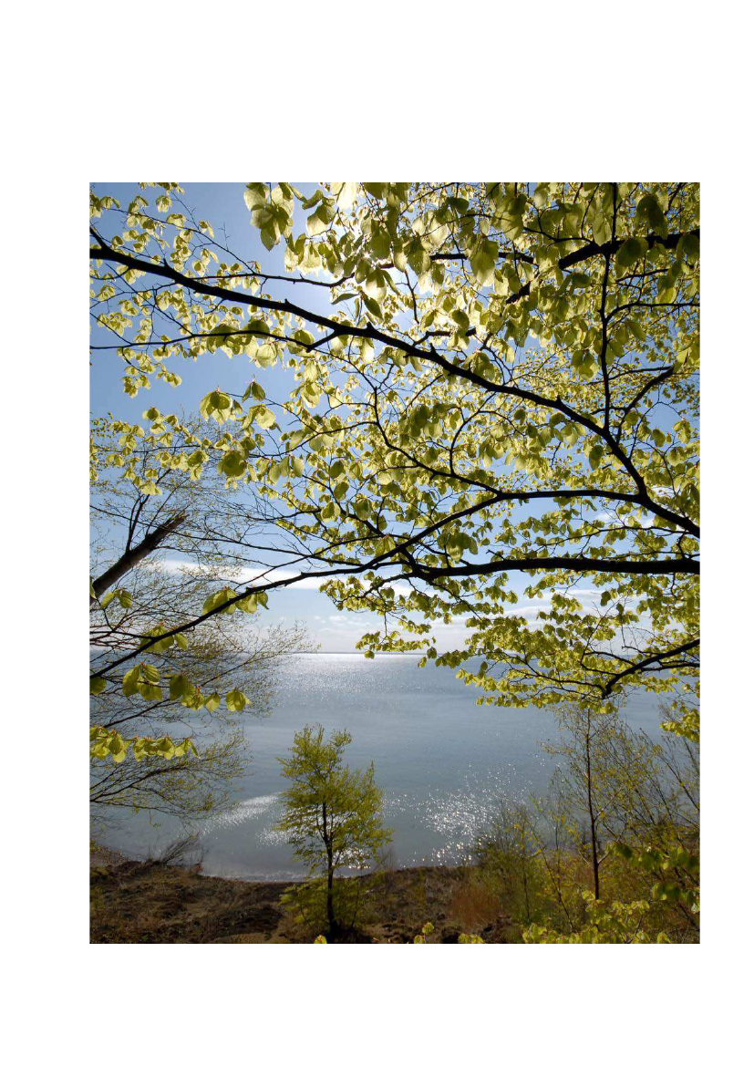2218879_0009.png