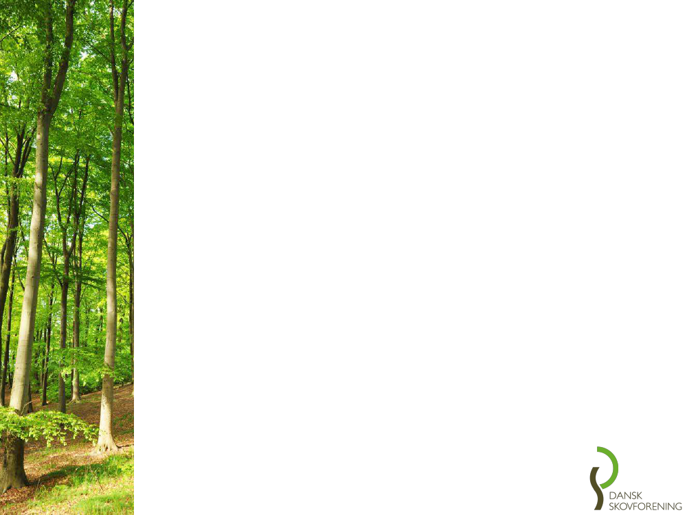 2233544_0005.png