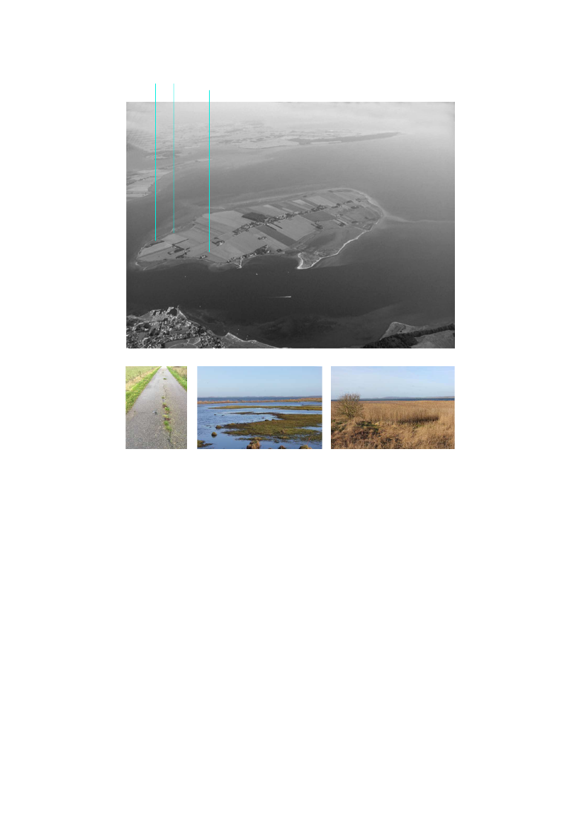2252214_0002.png