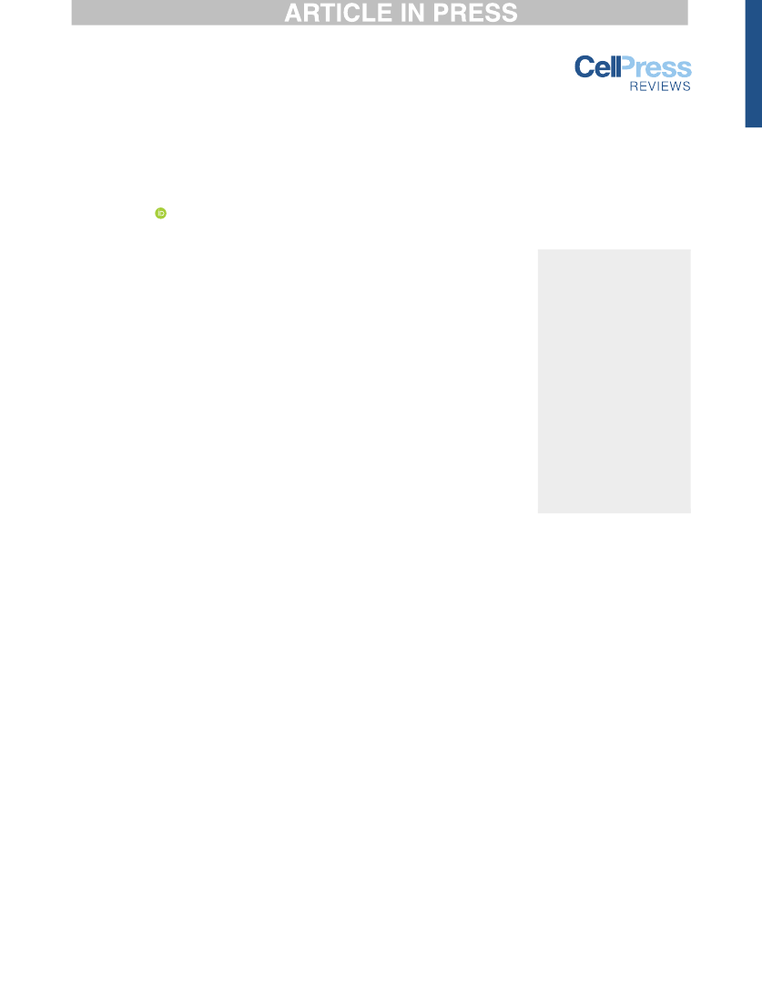 2262732_0001.png