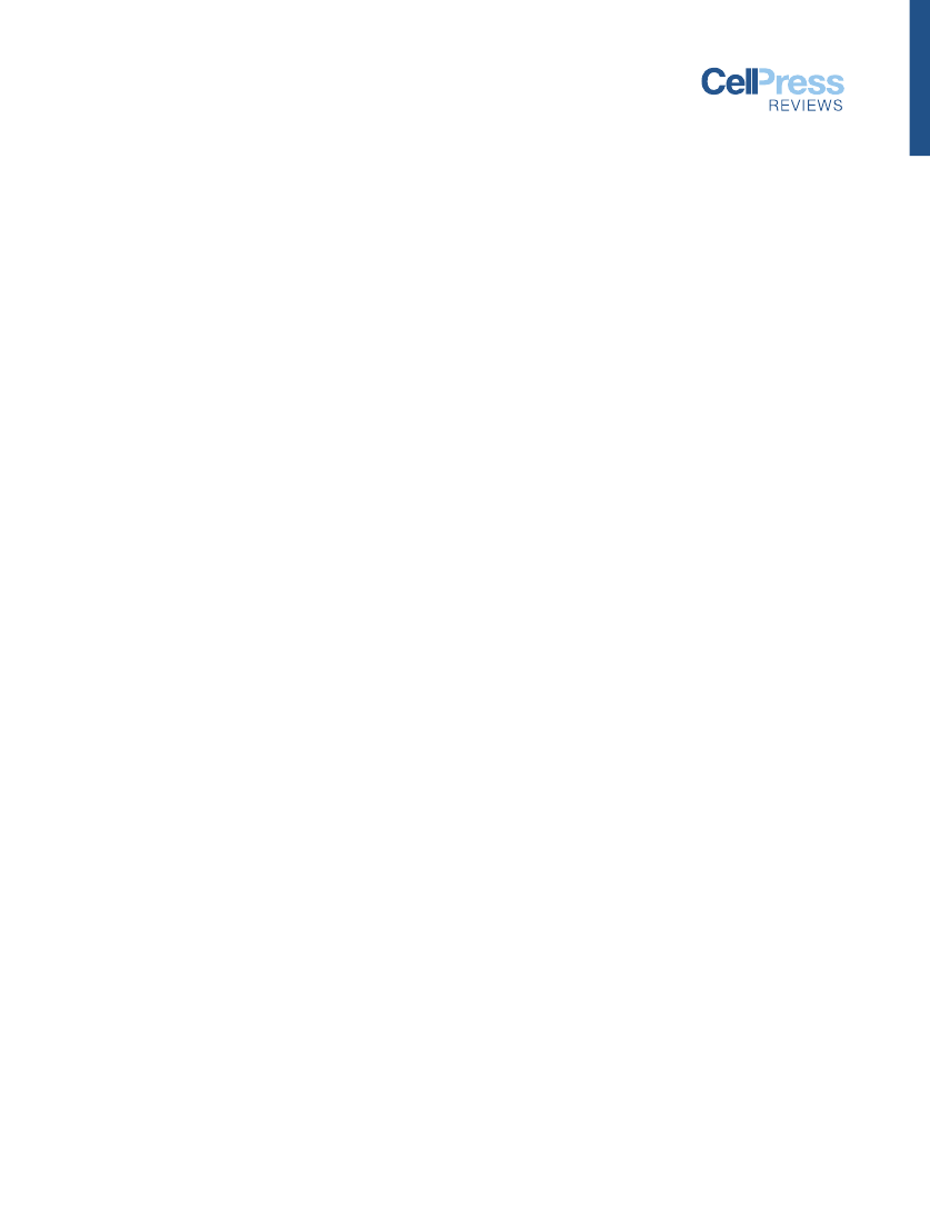 2262732_0011.png
