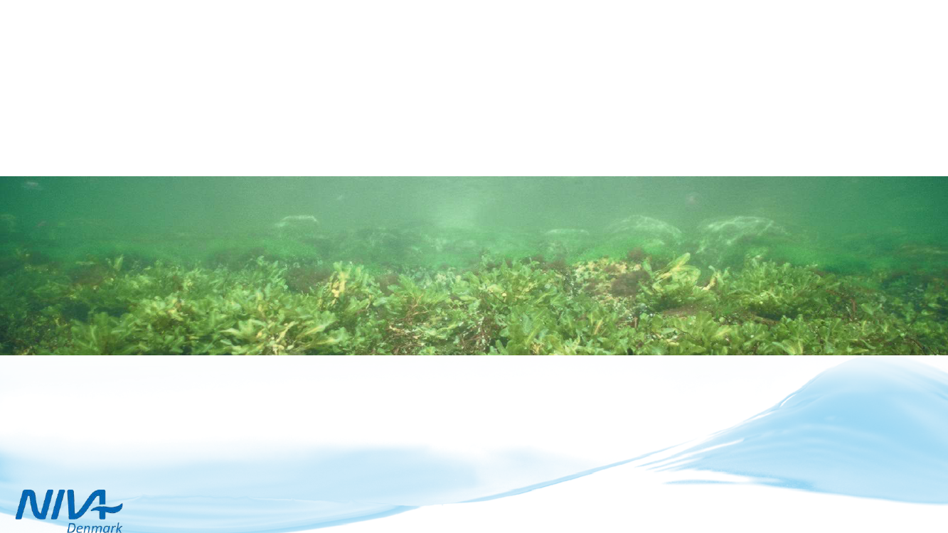 2273413_0007.png