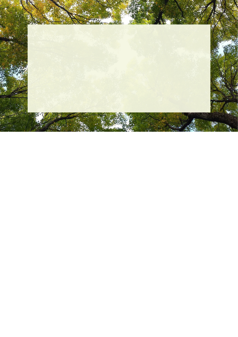 2285133_0003.png