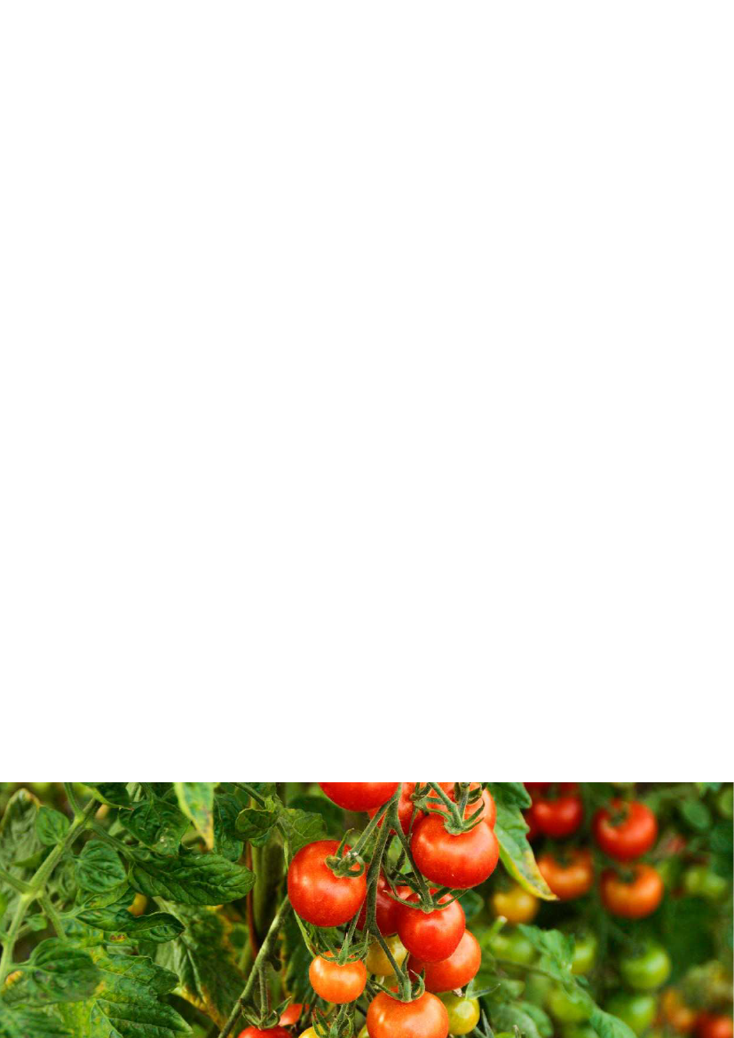2285133_0004.png