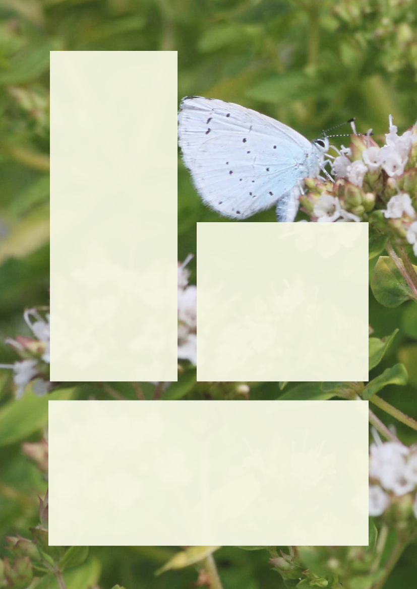 2285133_0008.png