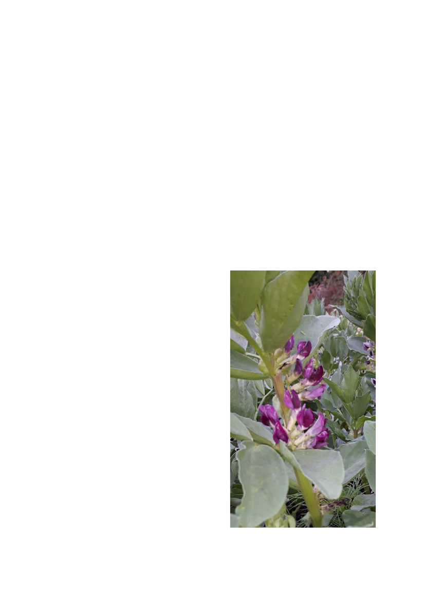2285133_0010.png