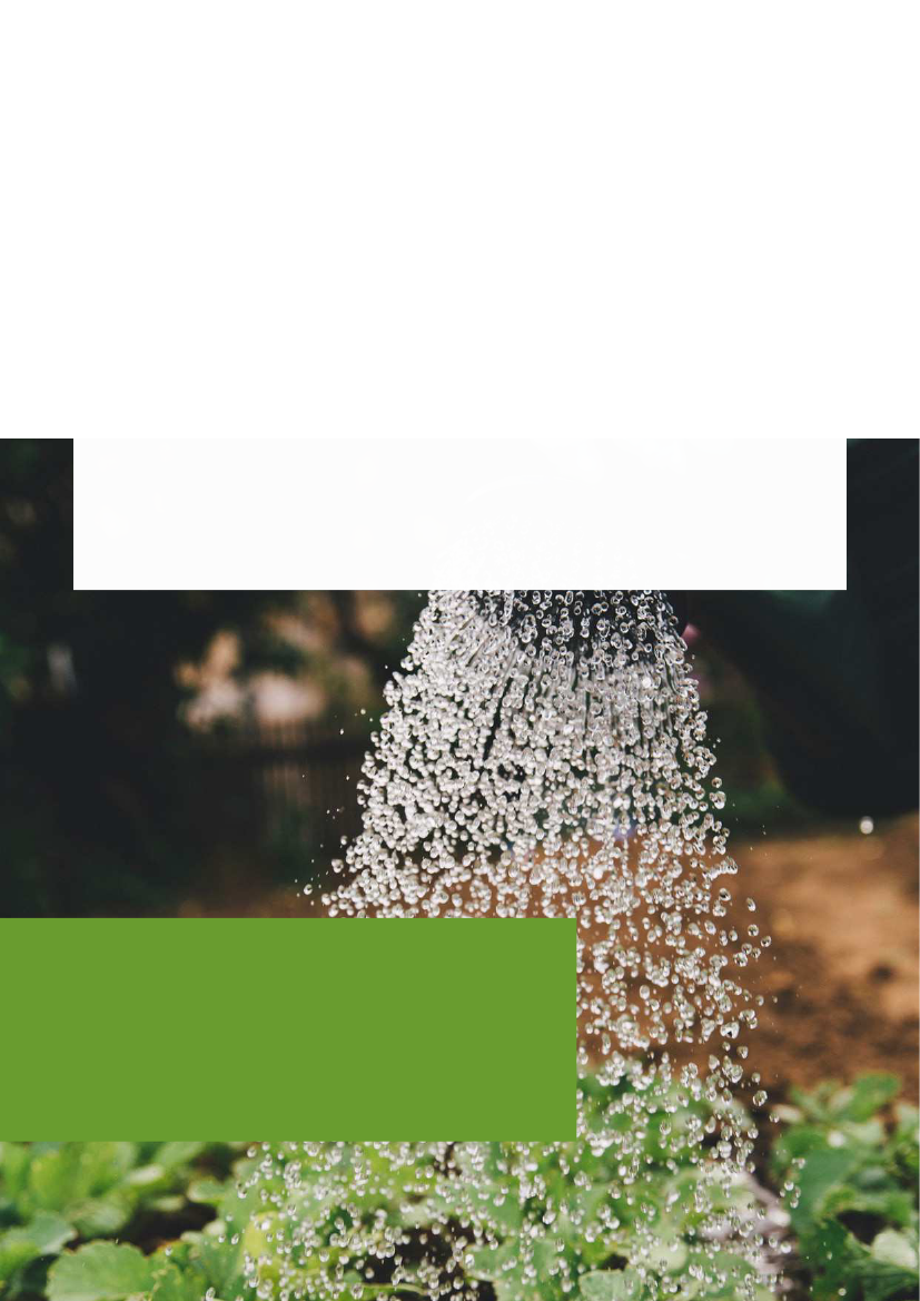 2285133_0011.png