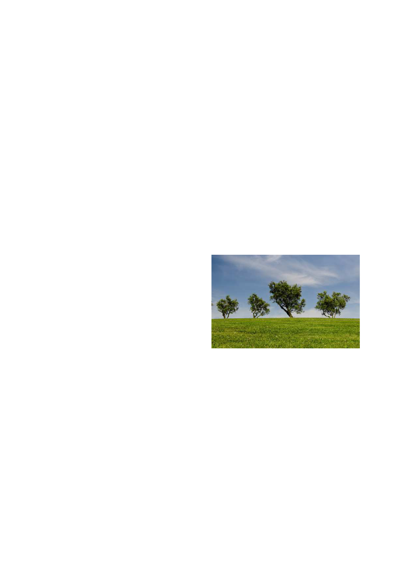 2285133_0017.png