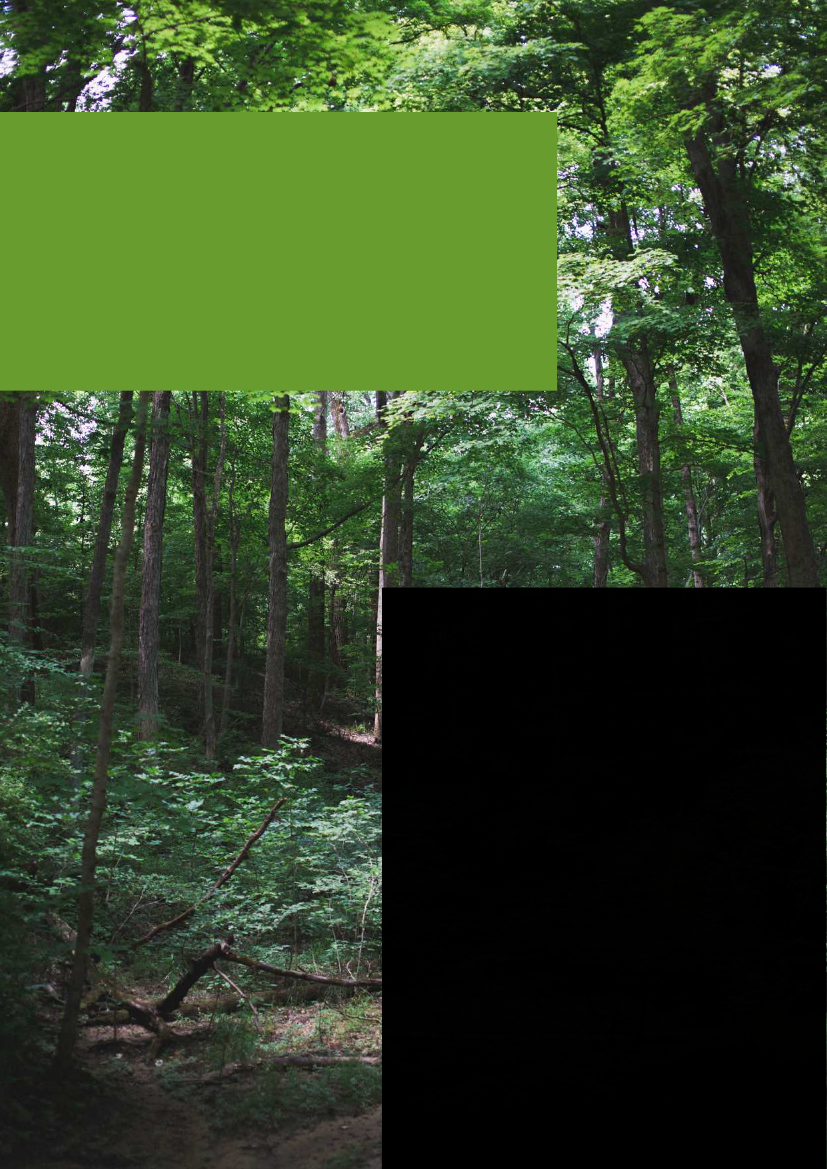 2285133_0030.png