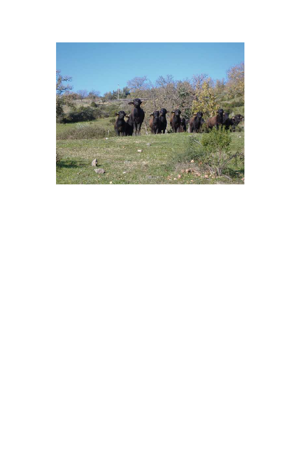 2296732_0086.png