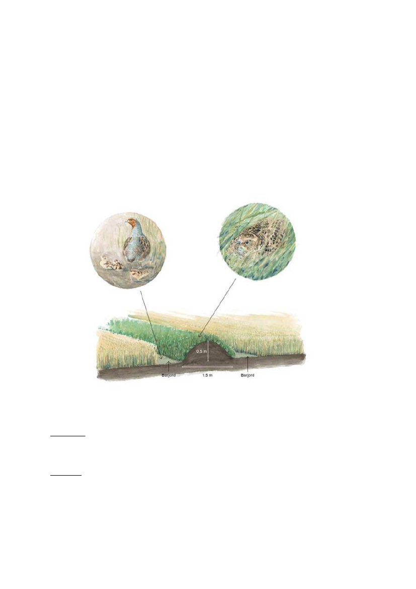 2298214_0027.png
