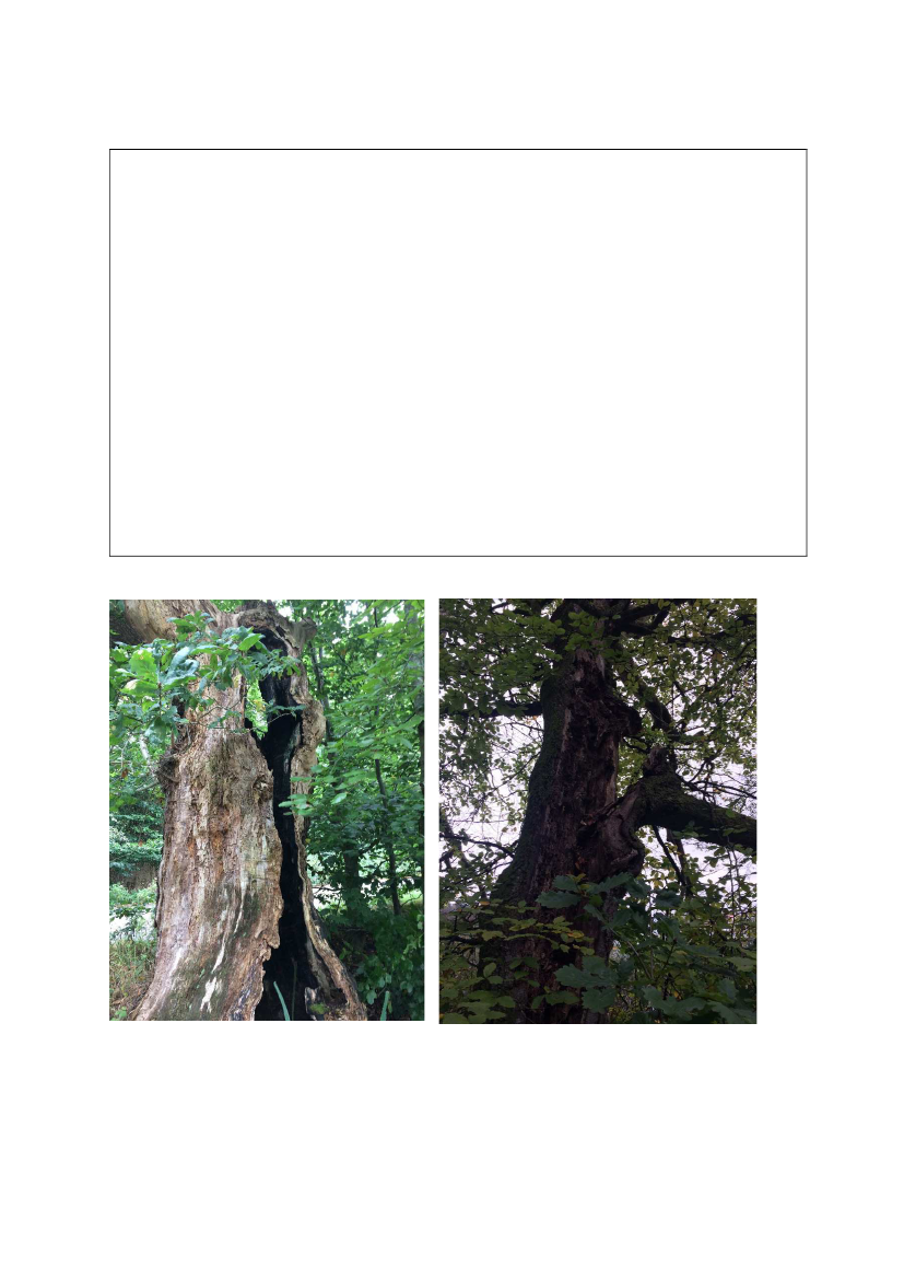2298214_0093.png