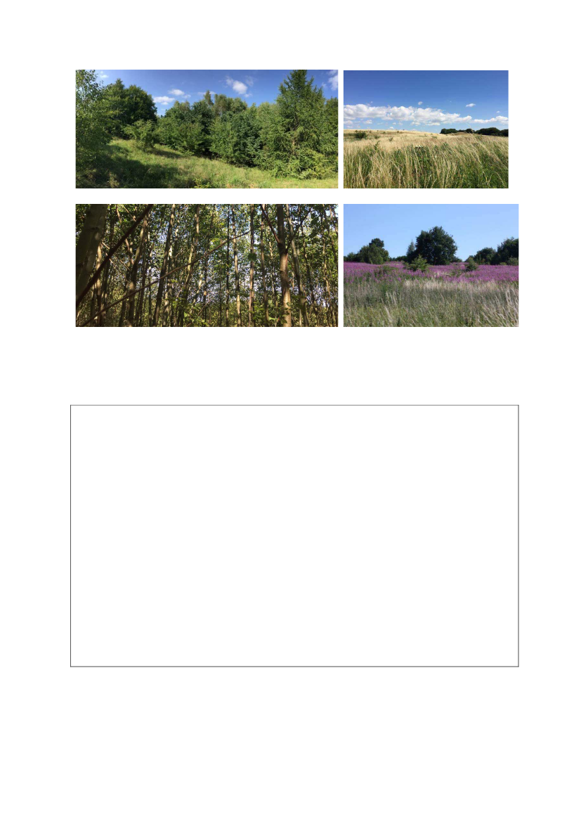 2298214_0129.png