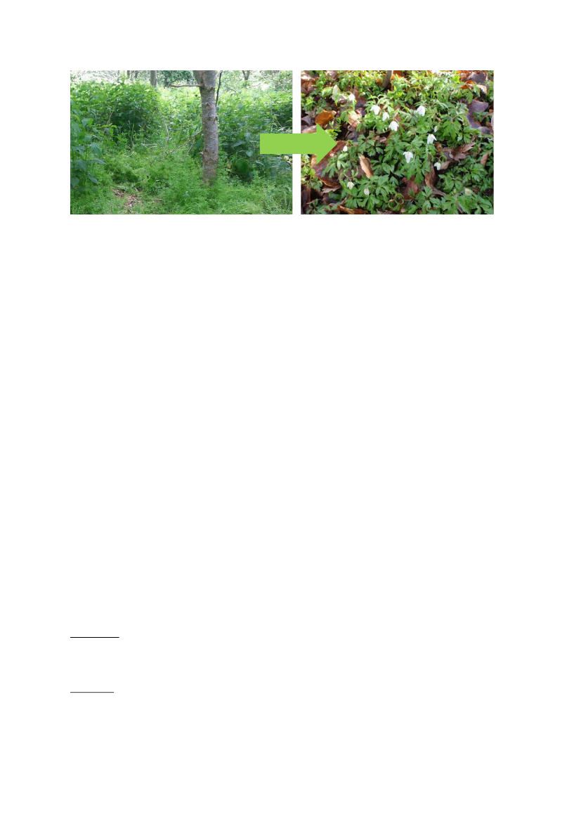 2298214_0131.png
