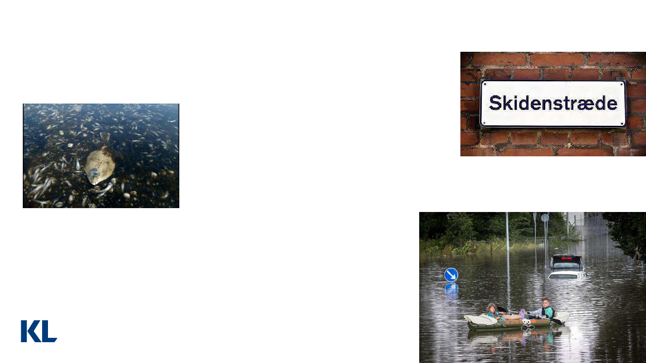 2299429_0002.png