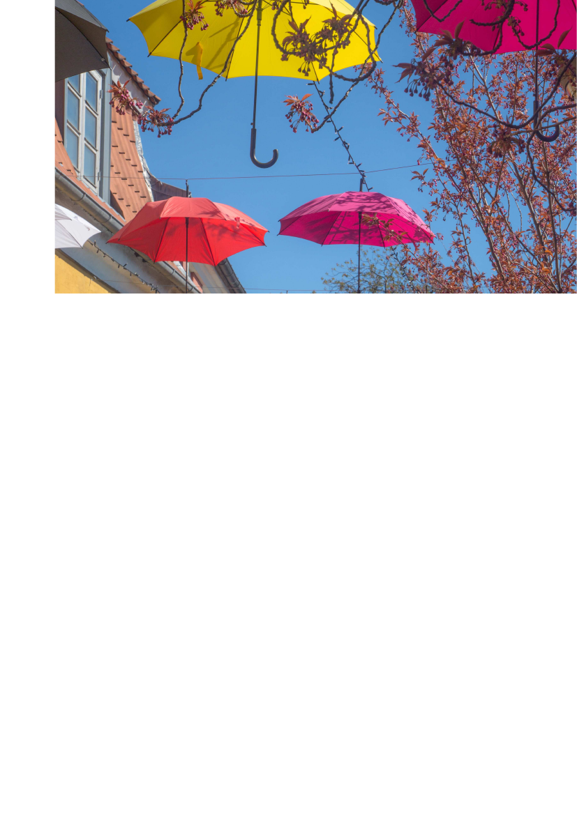 2303205_0007.png