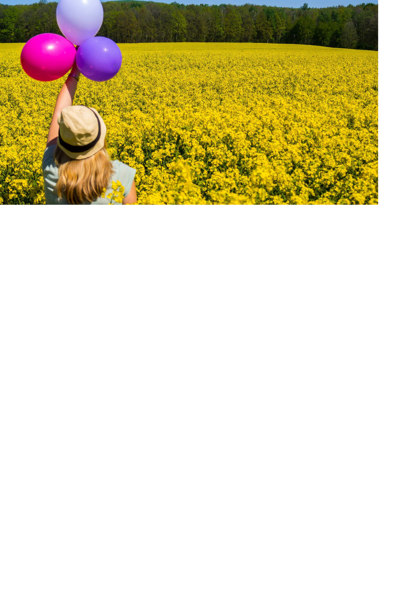 2303205_0014.png