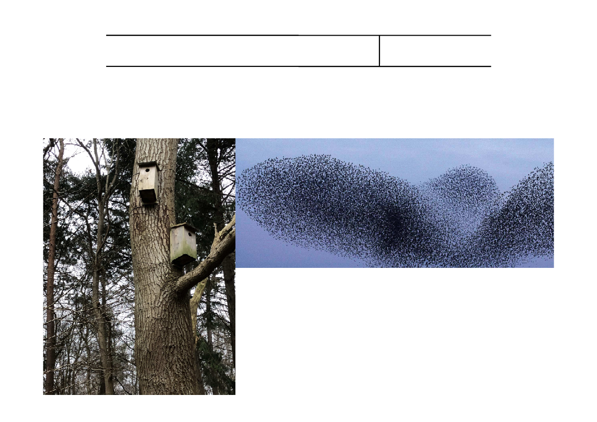 2317295_0004.png