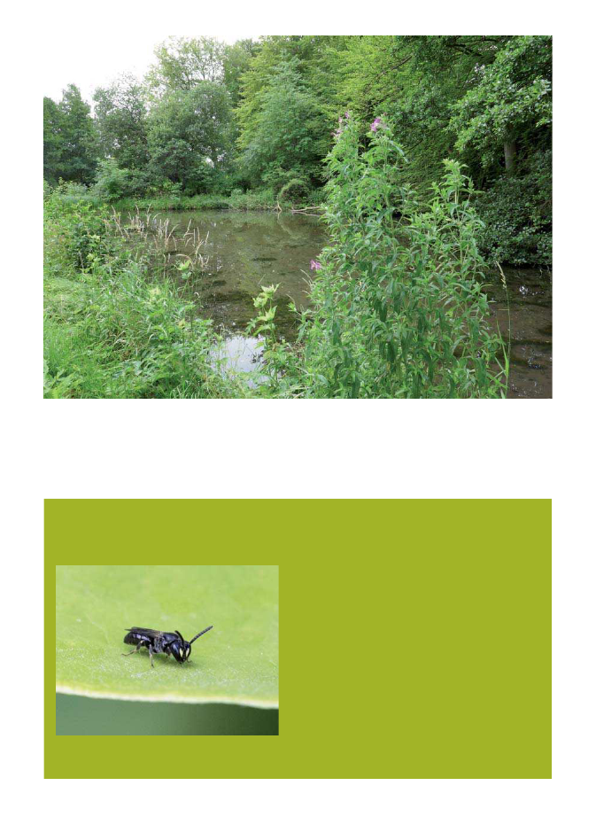 2334652_0015.png