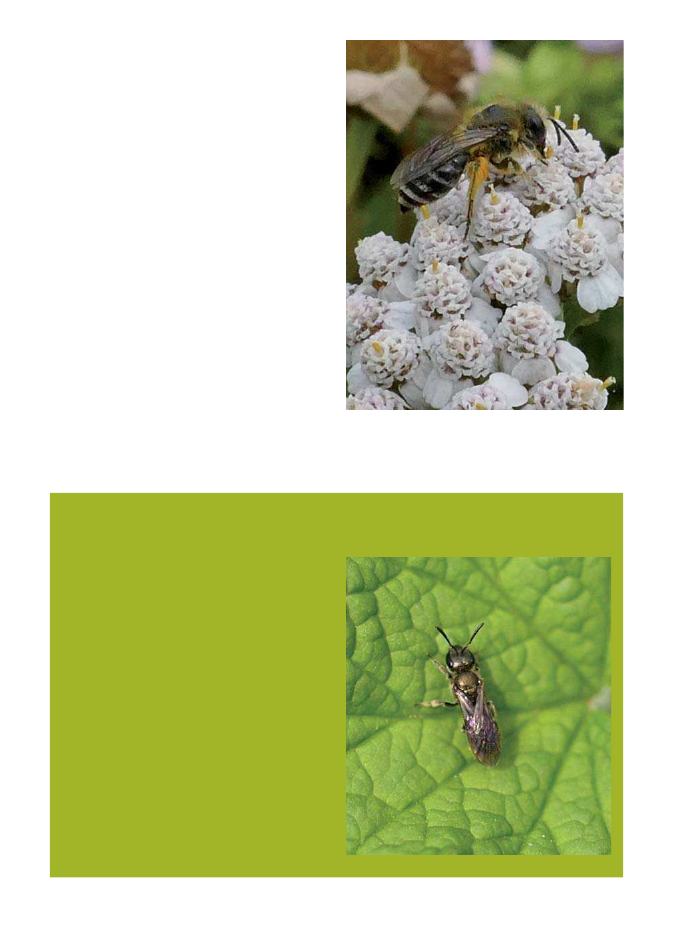 2334652_0032.png