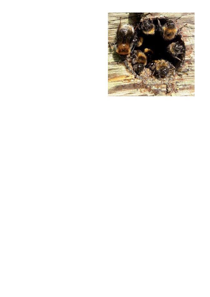 2334652_0062.png