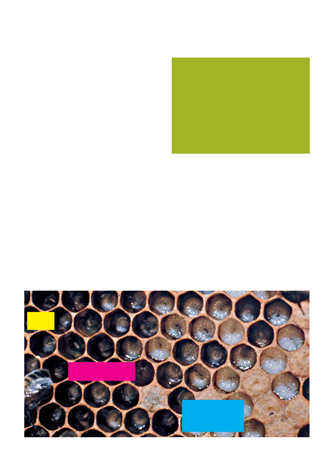 2334652_0063.png