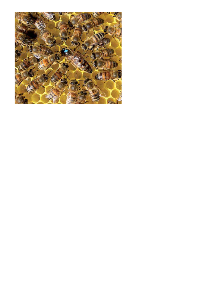 2334652_0064.png