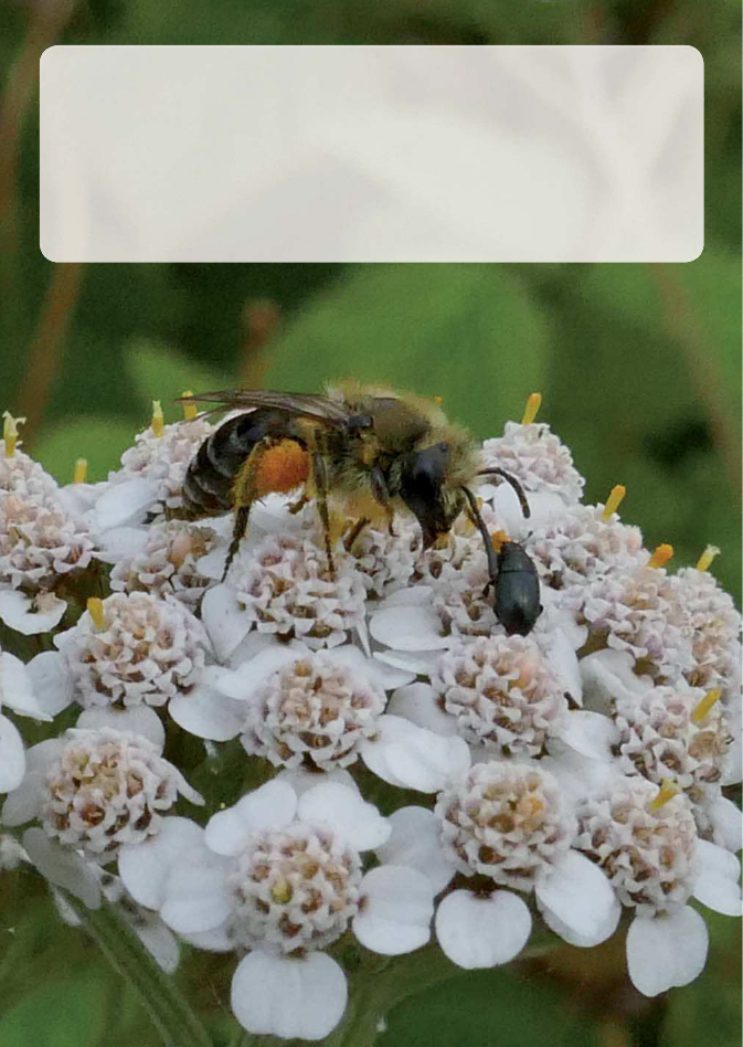 2334652_0072.png