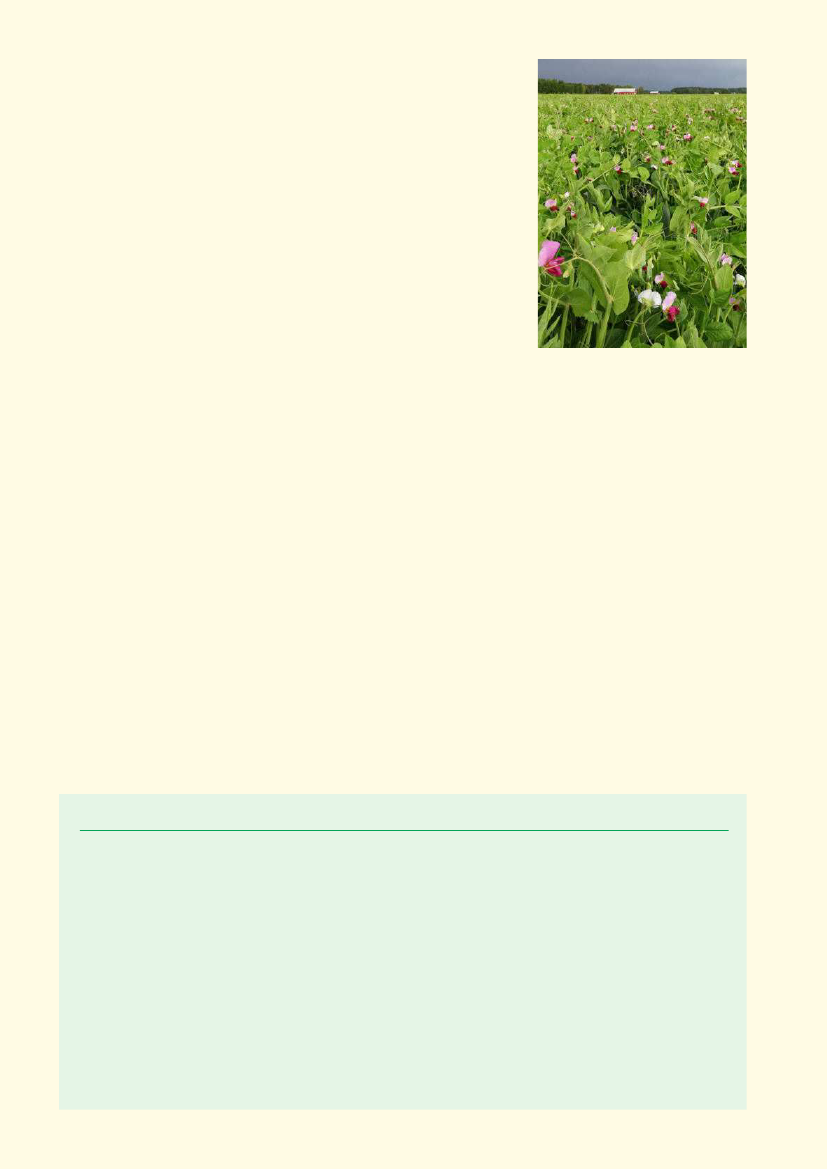 2338365_0009.png