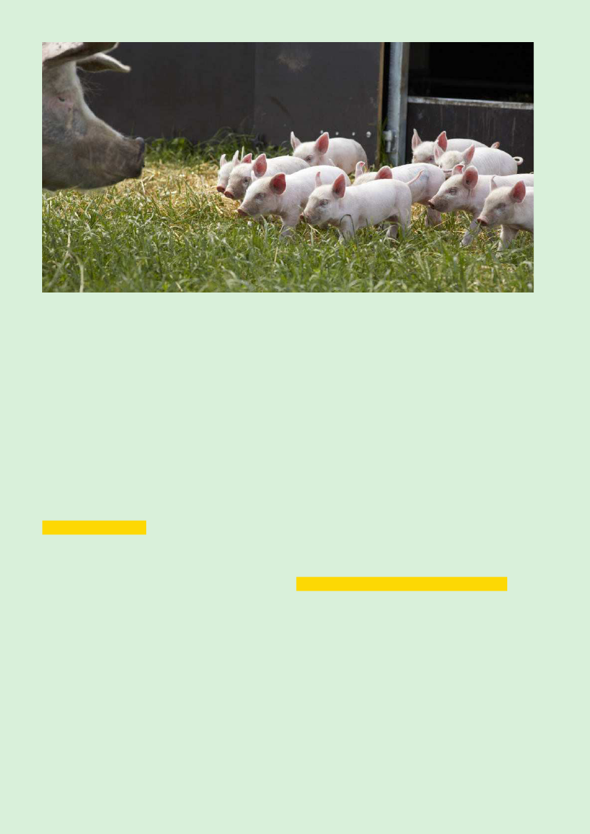 2338365_0019.png