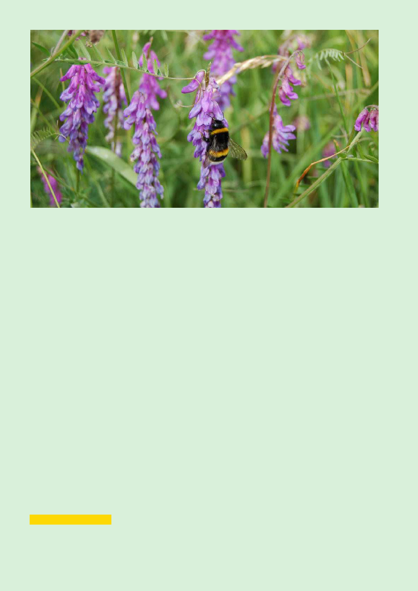 2338365_0021.png