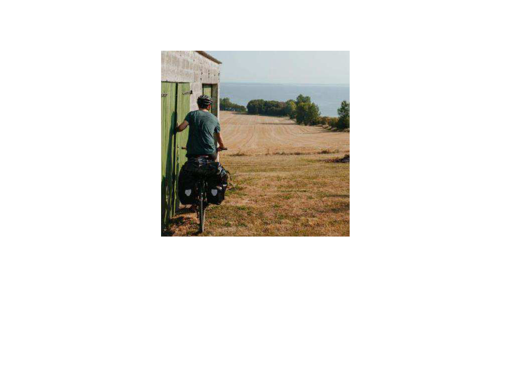 2341761_0005.png