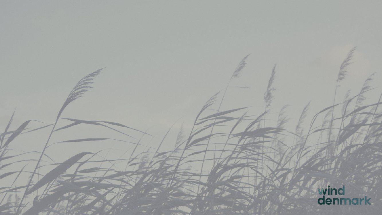 2346219_0002.png