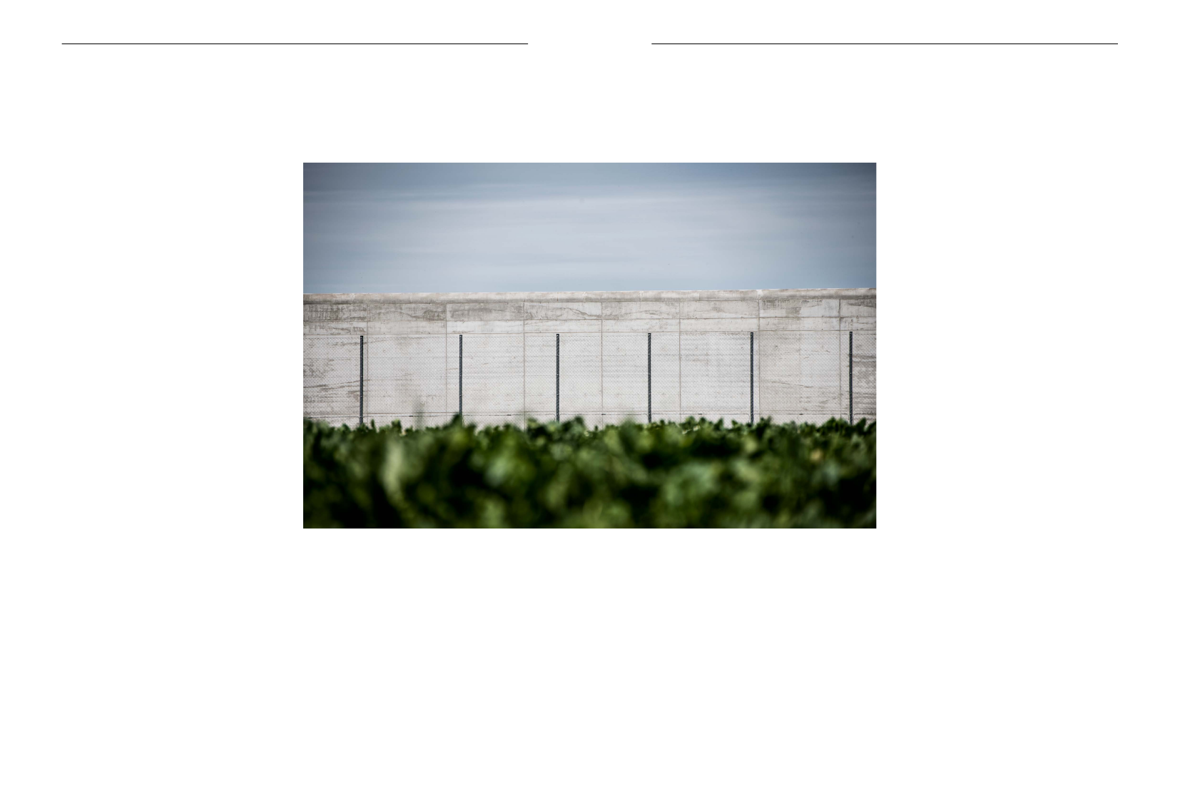 2371334_0013.png