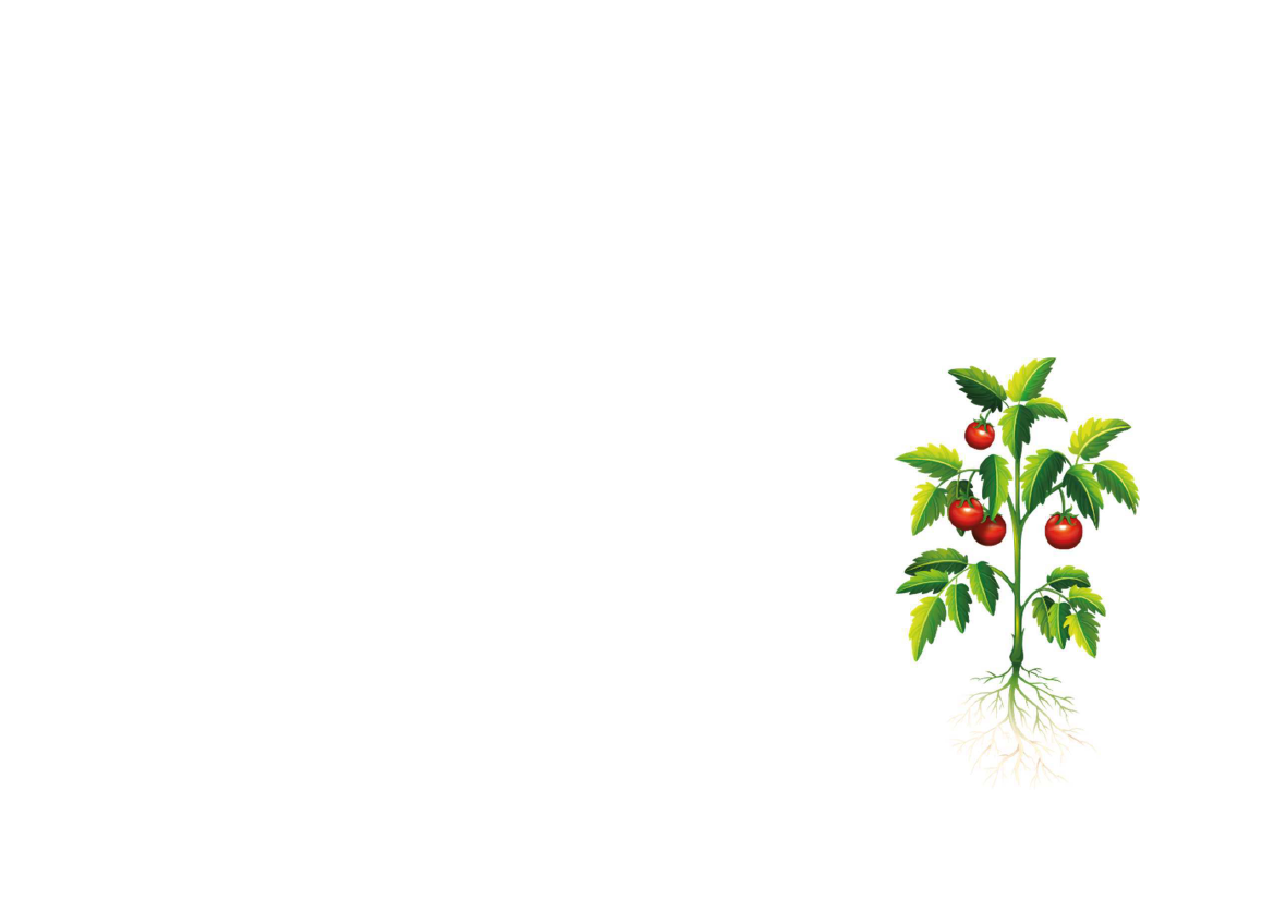 2375575_0004.png