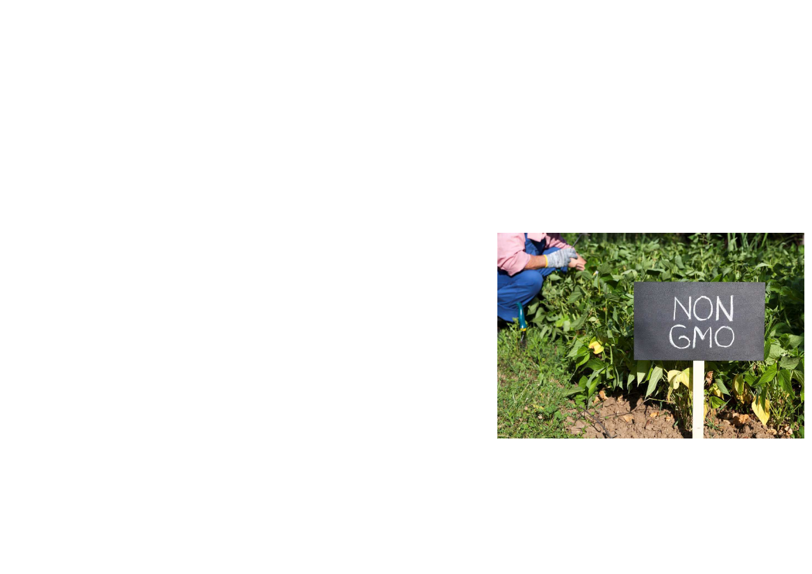 2375575_0006.png