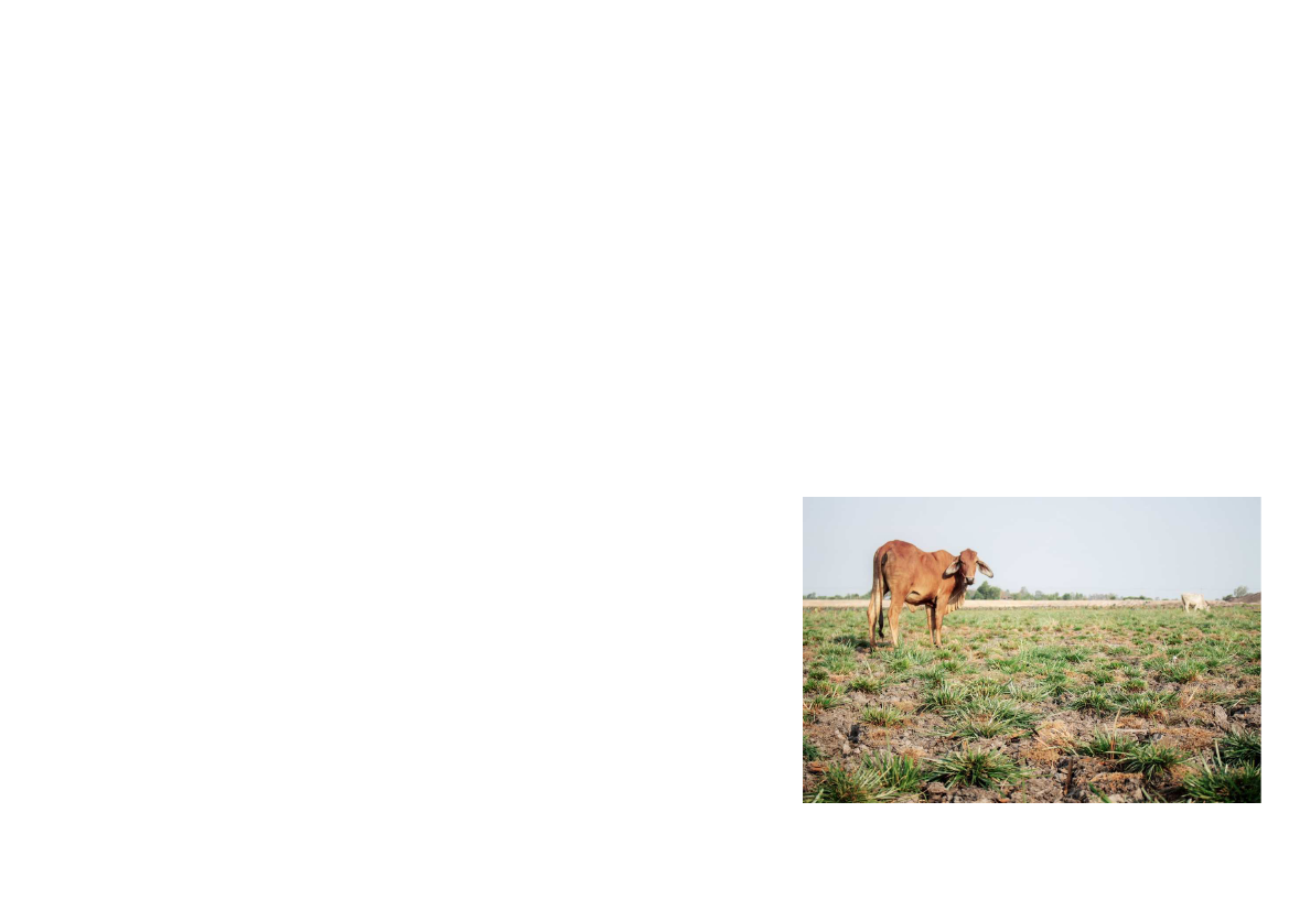 2375575_0010.png