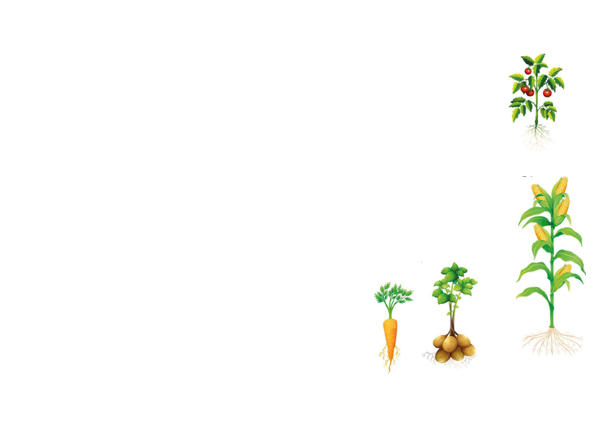 2375575_0012.png