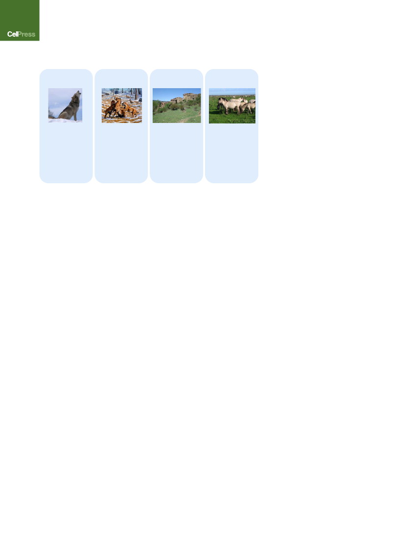2383571_0008.png