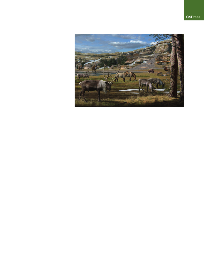 2383571_0009.png