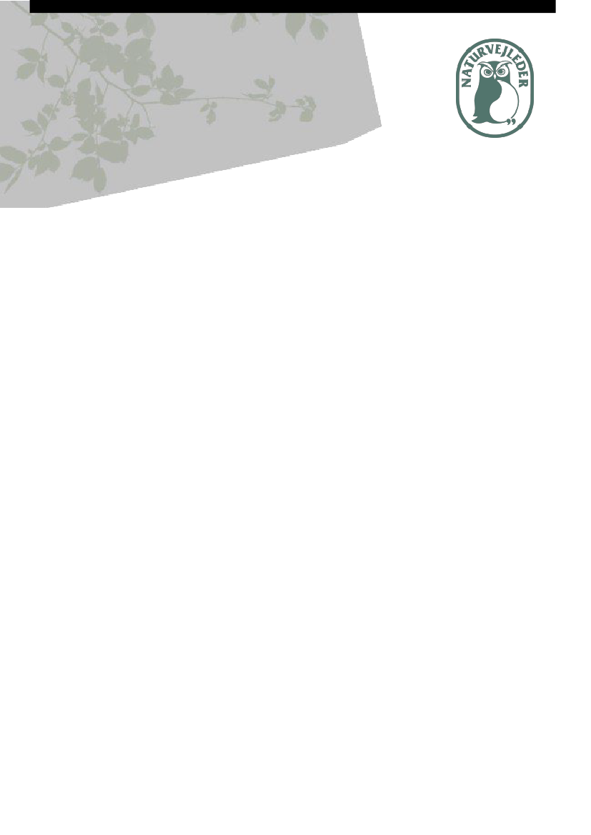 2383571_0094.png