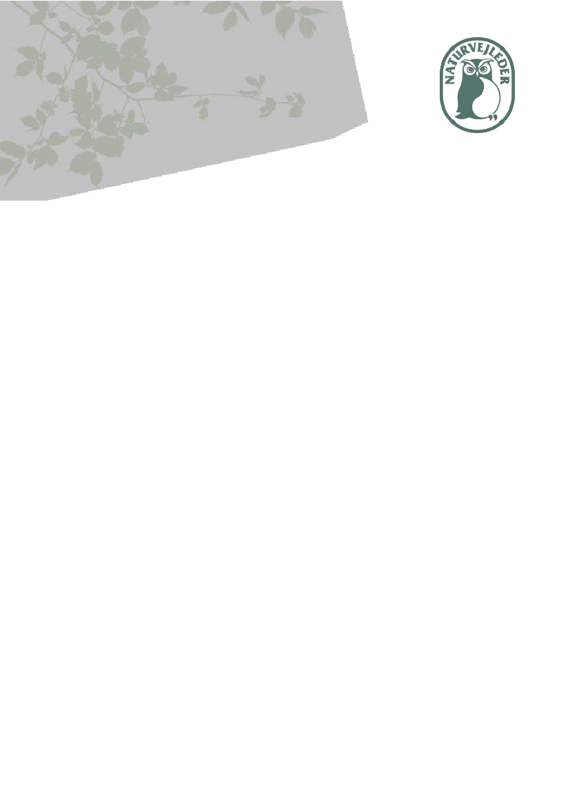 2383571_0095.png