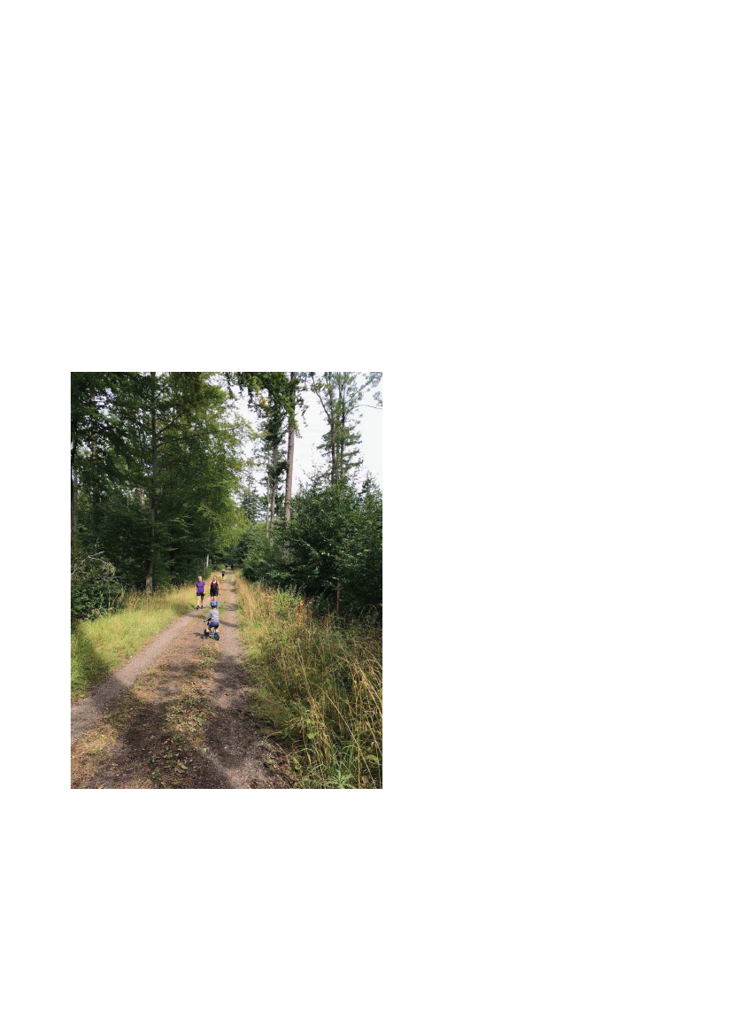 2383571_0199.png