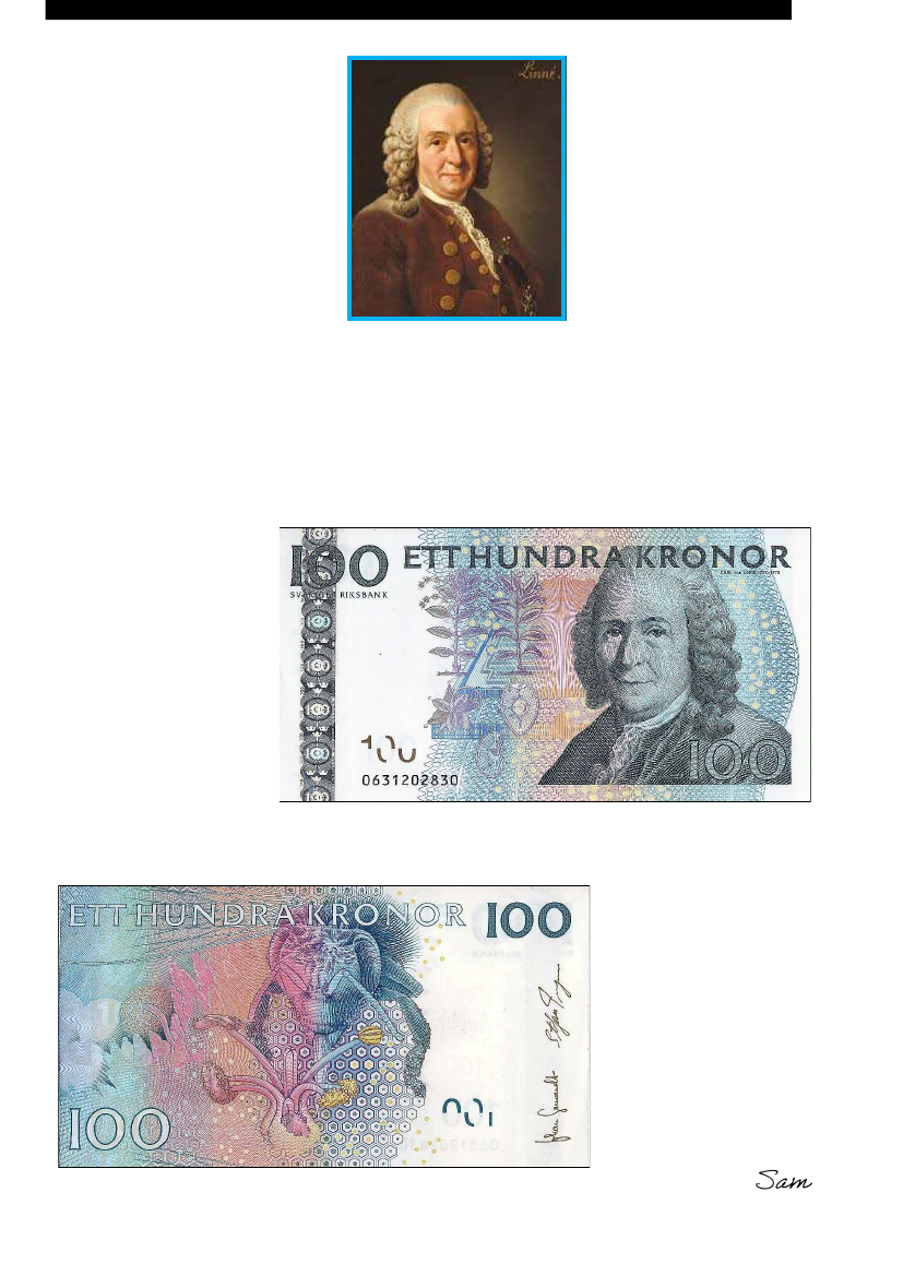 2383578_0127.png