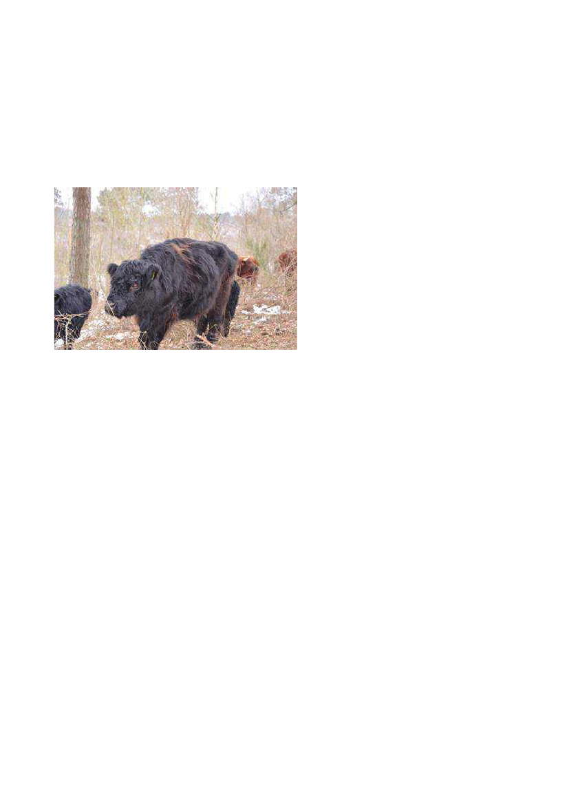 2387983_0002.png