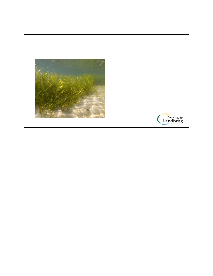 2392476_0002.png