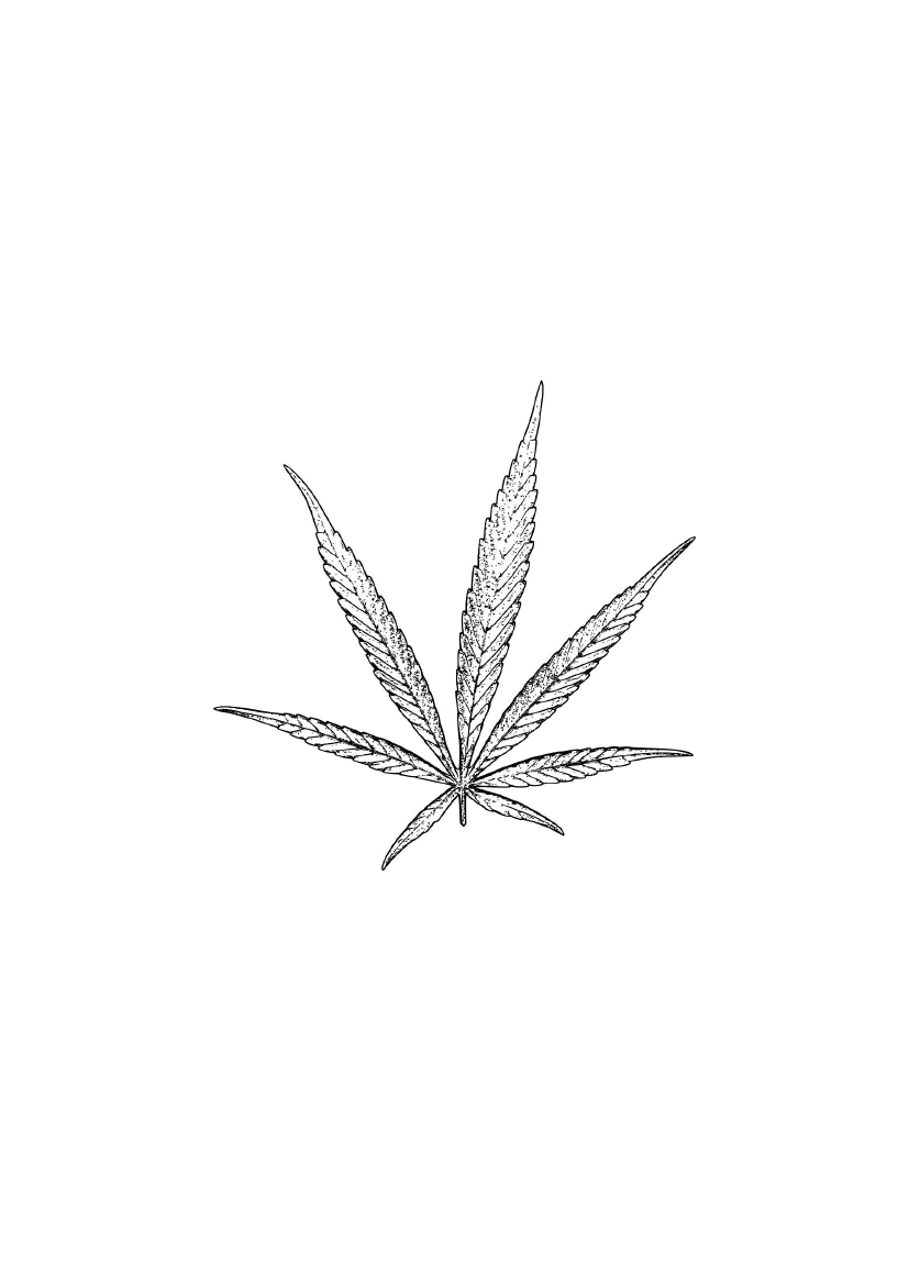 2393483_0001.png