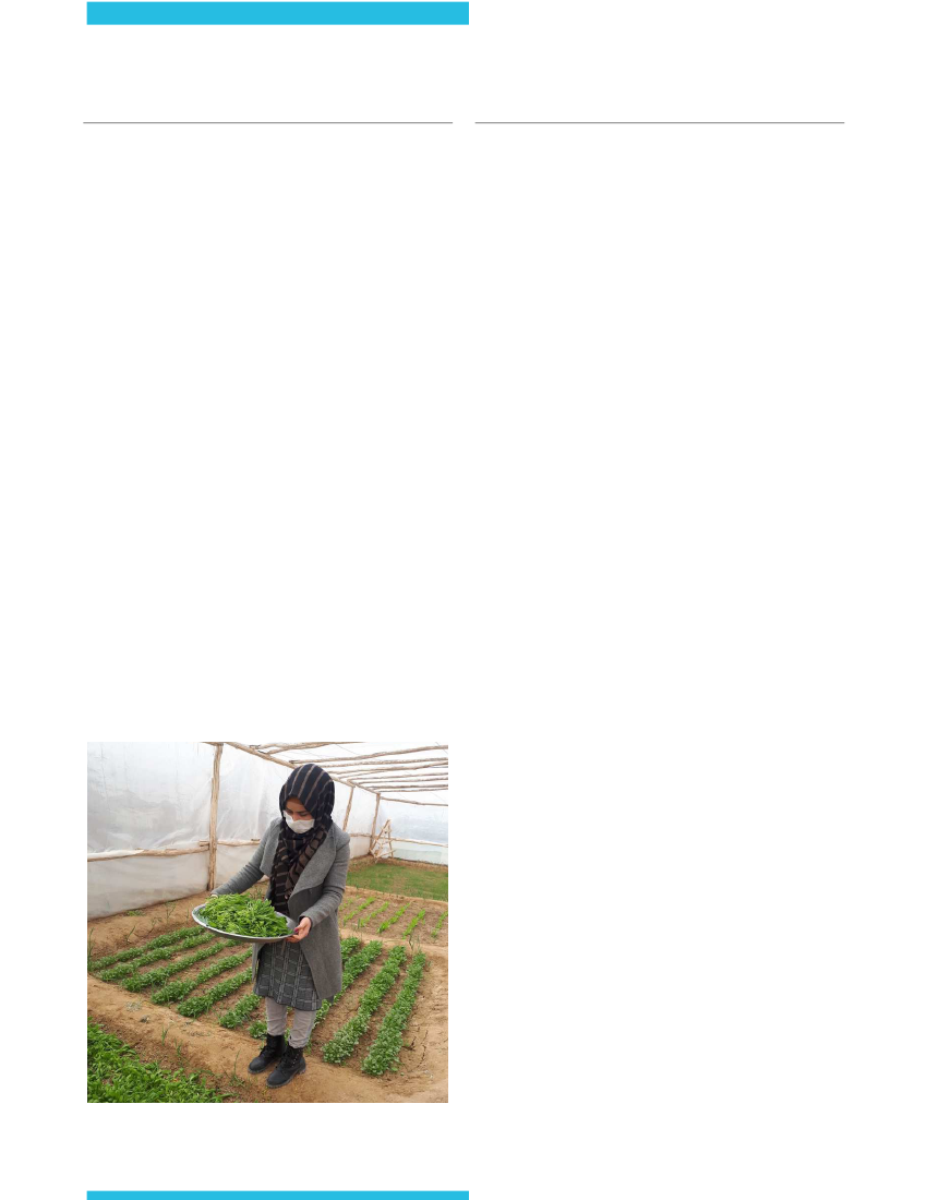 2394669_0003.png