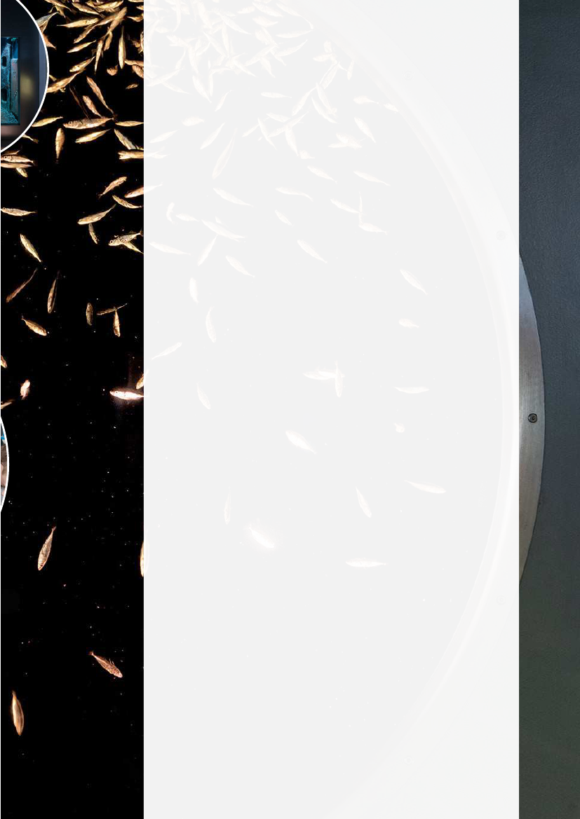 2394771_0003.png