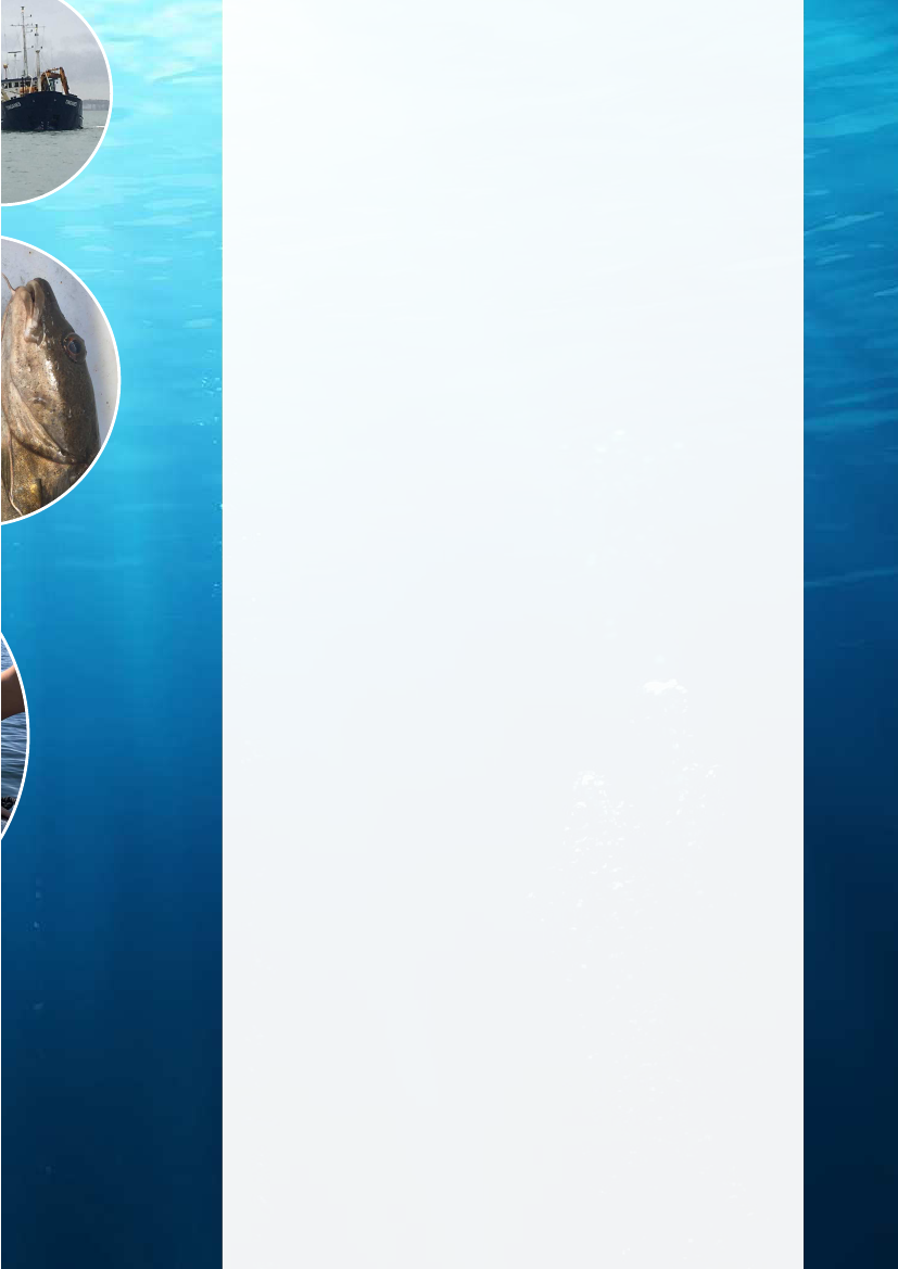 2394771_0005.png
